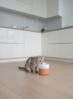 Drinkfontein Mali Wit/Terracotta 2lt Drinkfontein Mali Wit/Terracotta 2lt