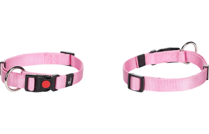 FL Halsband Ziggi M 40-55cm - 20mm FL Halsband Ziggi M 40-55cm - 20mm