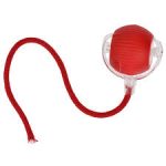 Oplaadbaar Catch me Cat Speelgoedje