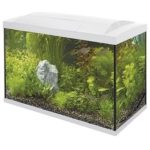 SF Start 70 Aquarium Tropical Kit Wit