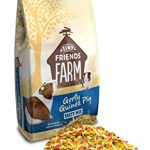 Tiny Friends Supreme Gerty Guinea Pig 12,5kg