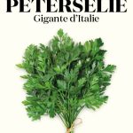 WL PETERSELIE GIGANTE