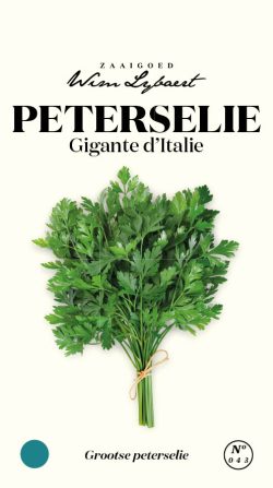 WL PETERSELIE GIGANTE