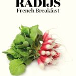 WL RADIJS FRENCH BREAKFAST