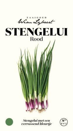 WL STENGELAJUIN ROOD