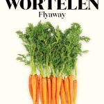 Wim Lybaert Zaden Wortelen Fly Away