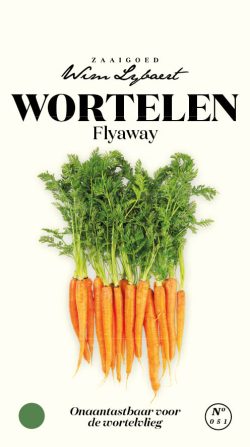 Wim Lybaert Zaden Wortelen Fly Away