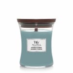 WoodWick Evergreen Cashmere Medium Kaars