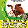 Fertigreen Koemest 25kg Fertigreen Koemest 25kg