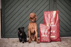 Delcon Adult Plus Lam 12kg Hondenvoer