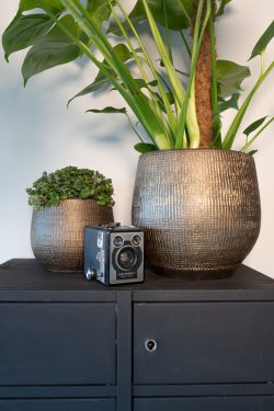 Pot Ryan shiny gold D18 H16