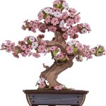 Robotime Sakura Bonsai