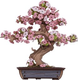 Robotime Sakura Bonsai