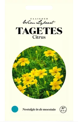 Wim Lybaert Zaden Tagetes Citrus