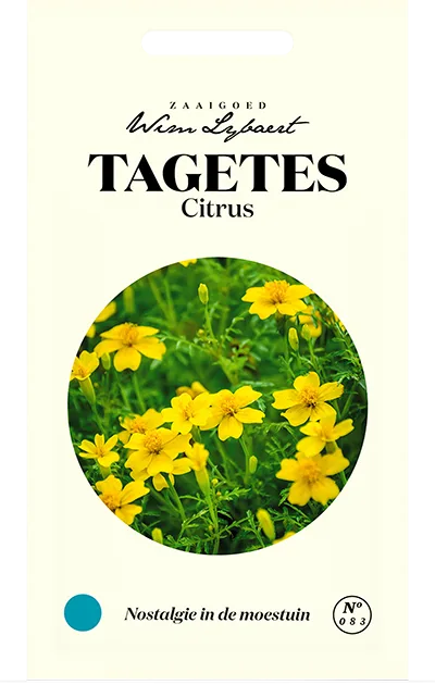 Wim Lybaert Zaden Tagetes Citrus Wim Lybaert Zaden Tagetes Citrus