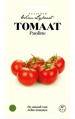 Wim Lybaert Zaden Tomaat Paoline