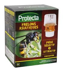 Protecta Aziatische Hoornaar Val + Lokstof