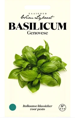 Wim Lybaert Zaden Basilicum Genovese