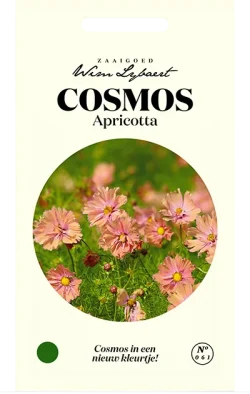 Wim Lybaert Zaden Cosmos Apricotta