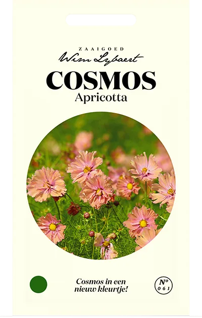 Wim Lybaert Zaden Cosmos Apricotta Wim Lybaert Zaden Cosmos Apricotta