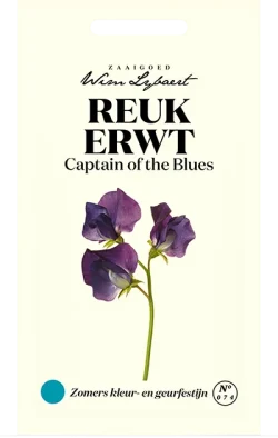 Wim Lybaert Zaden Reukerwt Captain of the Blues