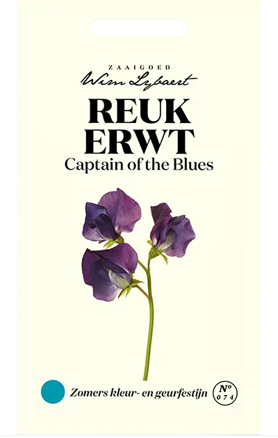 Wim Lybaert Zaden Reukerwt Captain of the Blues Wim Lybaert Zaden Reukerwt Captain of the Blues