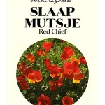 Wim Lybaert Zaden Slaapmutsje Red Chief