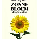 WL ZONNEBLOEM MONGOLIAN