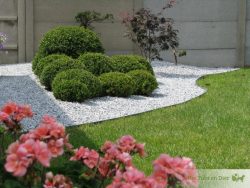 Ecolat Rol Grijs 10mt x 14cm x 7mm