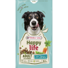 Happy Life Adult Zalm 12,5kg