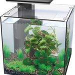 SF AQUA 60 PANORAMA ZWART