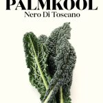 Wim Lybaert Palmkool Nero Di Toscano