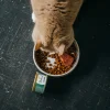 Delcon Kat Blikje Paté Tonijn 85gr Delcon Kat Blikje Paté Tonijn 85gr