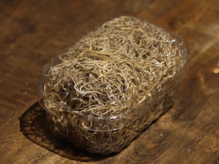 Gedroogde Tillandsia Gedroogde Tillandsia
