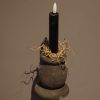 Gedroogde Tillandsia Gedroogde Tillandsia