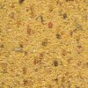 Gold Patee Grote Parkieten & Papegaaien 1kg Gold Patee Grote Parkieten & Papegaaien 1kg