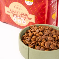 Delcon Adult Lam Hypoallergeen Hondenvoer 10kg Delcon Adult Lam Hypoallergeen Hondenvoer 10kg