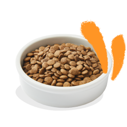Edgard & Cooper Kattenvoer Adult Kip 2 kg Edgard & Cooper Kattenvoer Adult Kip 2 kg
