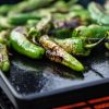 Outdoorchef Universele Plancha L Outdoorchef Universele Plancha L