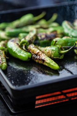 Outdoorchef Universele Plancha L Outdoorchef Universele Plancha L