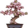 Robotime Sakura Bonsai Robotime Sakura Bonsai