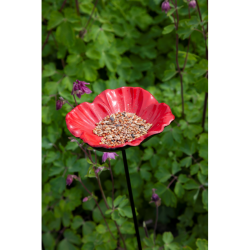 Bûten Gift Feeder Stake Papaver Bûten Gift Feeder Stake Papaver