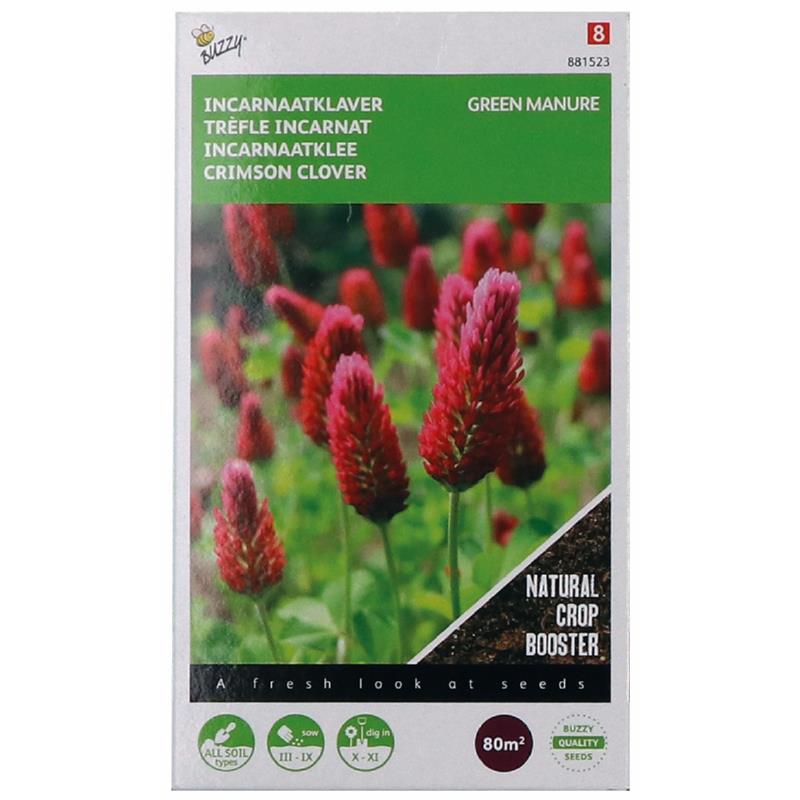 Buzzy Groenbemester Incarnaatklaver 200gr Buzzy Groenbemester Incarnaatklaver 200gr