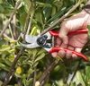 Snoeischaar FELCO 2 incl Reserve Bovenmes Snoeischaar FELCO 2 incl Reserve Bovenmes