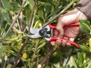 Snoeischaar FELCO 2 incl Reserve Bovenmes Snoeischaar FELCO 2 incl Reserve Bovenmes