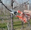 Snoeischaar FELCO 2 incl Reserve Bovenmes Snoeischaar FELCO 2 incl Reserve Bovenmes