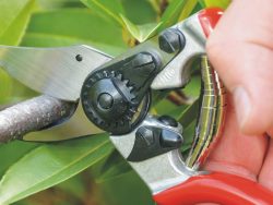 Snoeischaar FELCO 6 (Medium), compact met kegelvormige snijkop Snoeischaar FELCO 6 (Medium), compact met kegelvormige snijkop