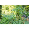 Sogo Plantensteun Halfrond 2st 26x76cm Sogo Plantensteun Halfrond 2st 26x76cm