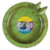 Vogelbad Rond Groen Vogelbad Rond Groen