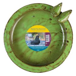 Vogelbad Rond Groen Vogelbad Rond Groen